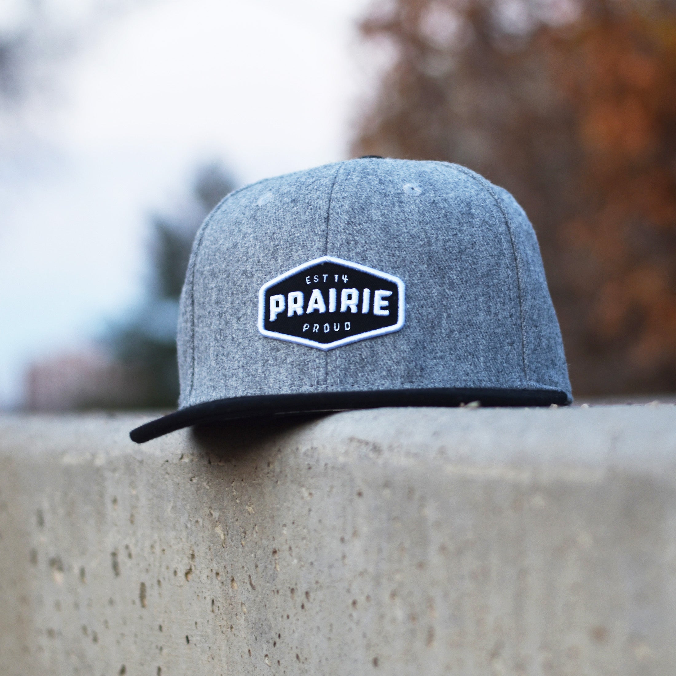 Unisex Pool Snapback Black Grey Flannel Small Fit