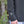 Unisex - Staple Flannel - Charcoal