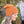 Unisex - Windchill Slouch / Beanie - Autumn